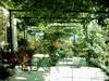 enjoy your breakfast or eye-opener, surounded by flowers and quietness